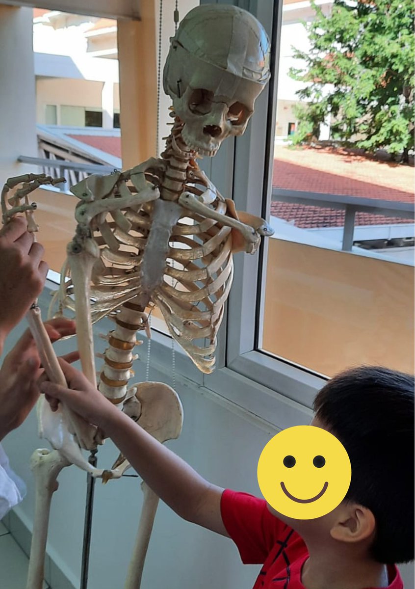JacquesMantion's tweet photo. Aujourd'hui début de #FêteDeELaScience au #LFRD de Phnom Penh.
Sciences et Sport à l'honneur avec des CP et des CE2 encadrés par des 1°: Squelette, organes, microscopes, vitesse, lancer, force et rythme cardiaque.#FDS2023
@aefeinfo @FeteScience https://t.co/Is0uOsznxE