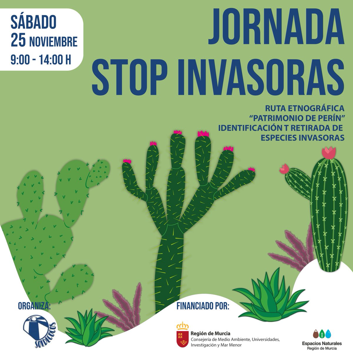 EspNaturalesMur's tweet photo. Este sábado 25 de noviembre, únete a la "Jornada #StopInvasoras" en Perín
Descubre el patrimonio natural y cultural, y ayuda a combatir la amenaza sobre la #FloraAutóctona
📍 Espacio Natural La Muela, Cabo Tiñoso y Roldán
📝 Inscripciones ⬇️
info.soldecocosterrestre@gmail.com https://t.co/bR1hcqdF9s