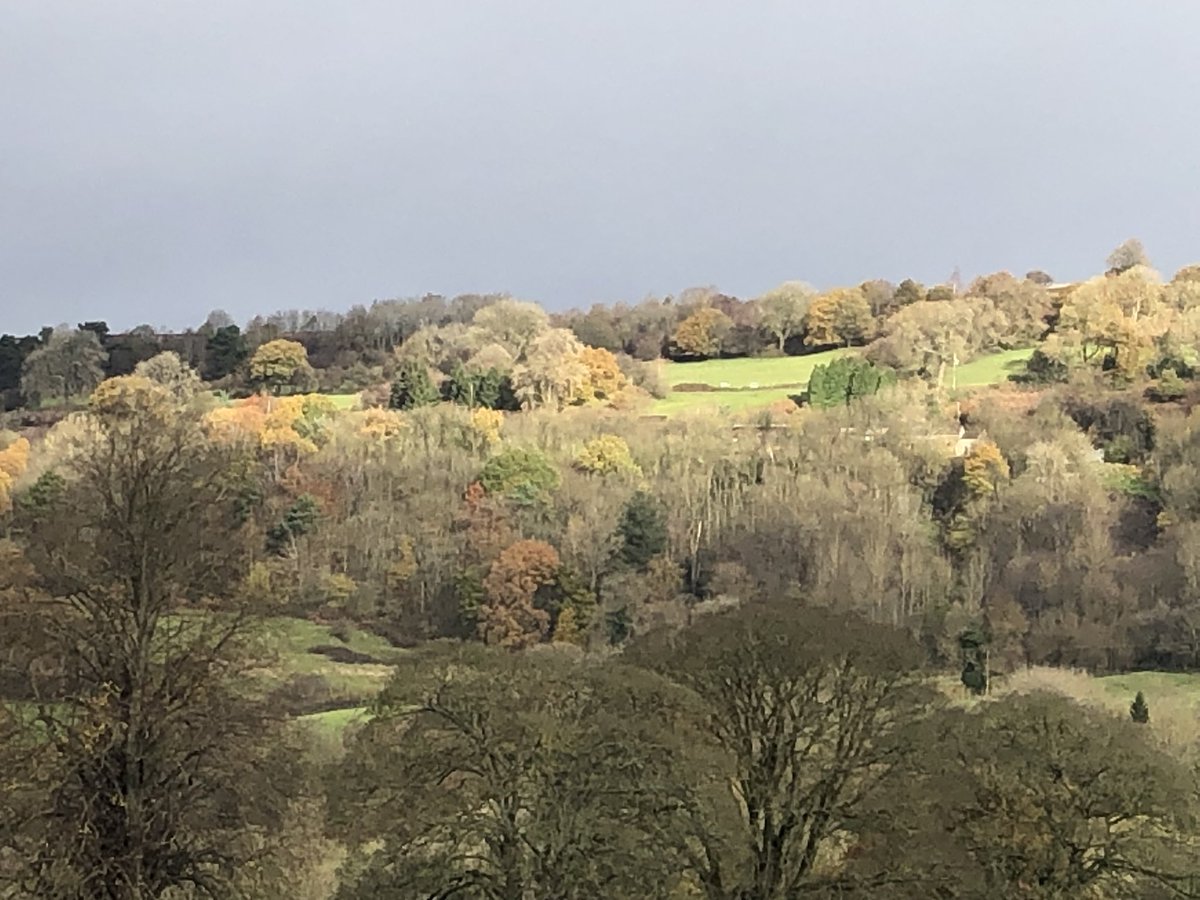 Racoonfeet's tweet photo. Lovely 8 mile walk then got the bus back ! Done me good ! #derbyshire #cromfordcanal #walk #lastdayoff https://t.co/RAWQJ1SZUK