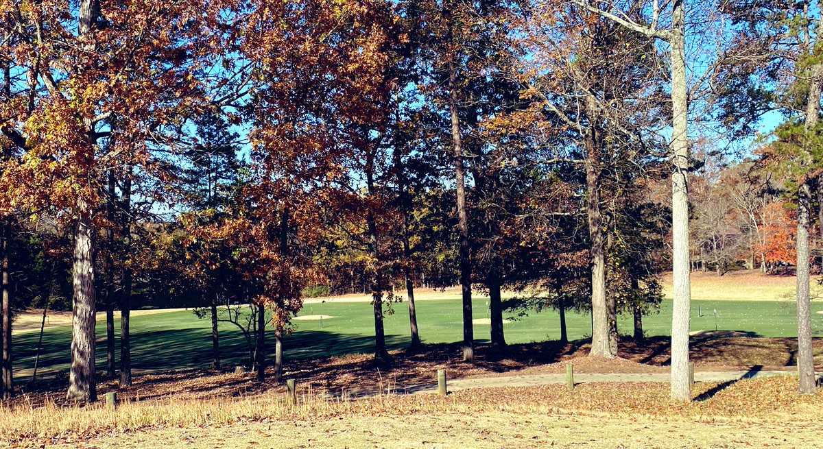 AustinGrimshaw's tweet image. Monday is always a reminder to see the forest for the trees.  Or in this case the color.   ExtremeGreen and Ambient Plus providing great color in the Carolinas. @SimplotTurf  #colorpack