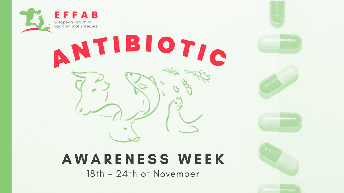 #EAAD2023 

#AnimalBreeding is one of the prevention tools, along with #biosecurity and #vaccination, to address the challenge of #AntimicrobialResistance.

Prioritizing robustness and #DiseaseResistance through breeding reduces reliance on #VeterinaryMedicines, including…