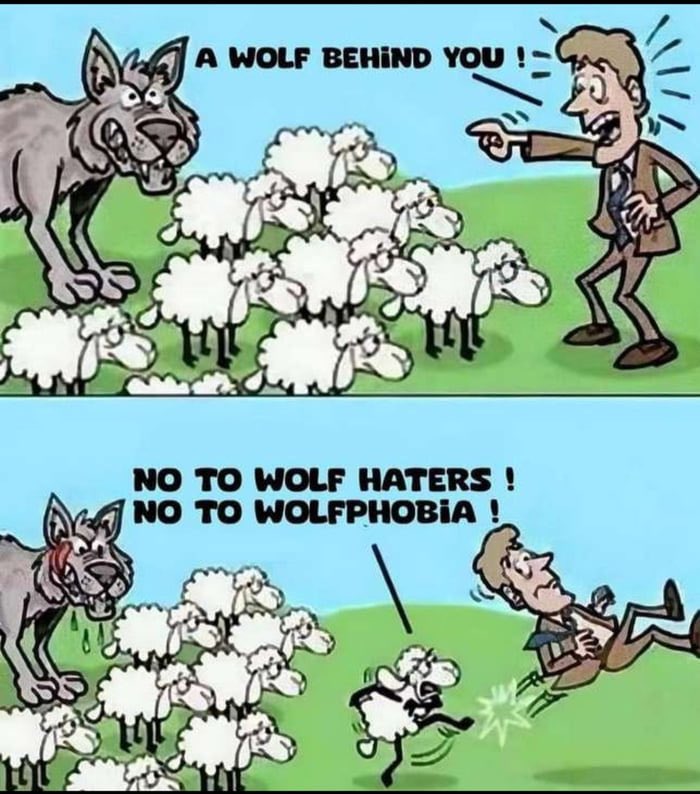 Say no to Islamophobia!