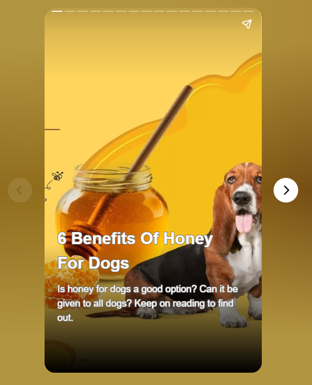 6 Benefits Of Honey For Dogs

Honey has proven its worth for humans. However, is honey for dogs really beneficial?

webstories.today/watch/6-benefi…