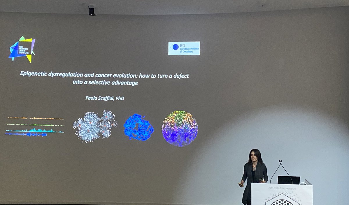 We had an amazing session on Molecular Interactions! Fei Chen, Claudia Keller Valsecchi and Paola Scaffidi presented their amazing work 🧫🦟📊 From spatial transcriptomics to sex determination and epigenetics in cancer! Thank you very much speakers for your amazing talks