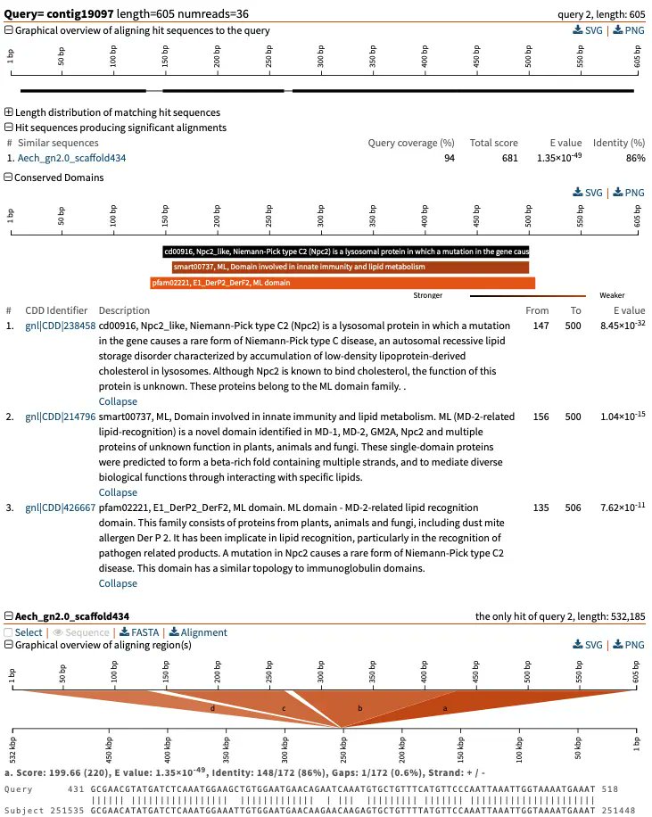 sequenceserver's tweet image. Every SequenceServer BLAST analysis now *also* identifies protein domains (thanks alignment with NCBI&apos;s Conserved Domain Database). 🥳🎉🎉