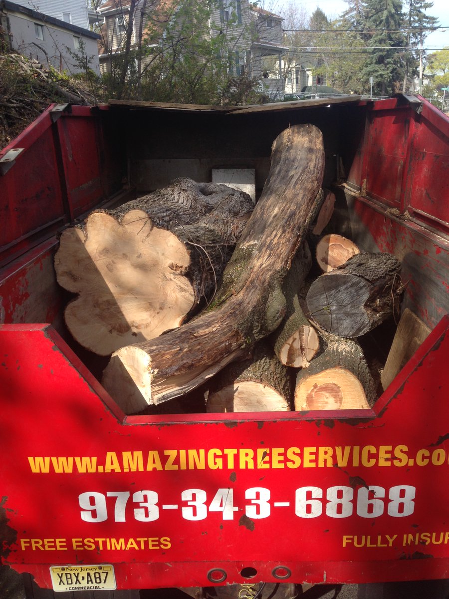 amazingtreesnj's tweet image. Professional Tree Removal
Restoring your trees and creating a safe environment. To speak with one of our experts call us at (973)343-6868.

#ProfessionalTreeRemoval #TreeRemoval #TreeRemovalNJ #TreeRemovalService #TreeRemovalExperts
atreeservicenj.com/tree-removal.h…
