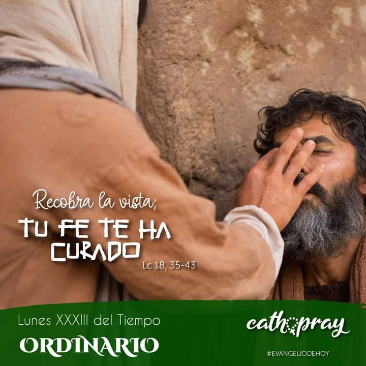 Francisco Esparza (@pachas14) on Twitter photo 🟢 ORDINARIO, FERIA
LUNES XXXIII DEL TIEMPO ORDINARIO
"Señor, que vea"
<a href="/LilianaSnchez9/">Liliana Sánchez 🇦🇷♌🦁</a> <a href="/poctavio65/">Octavio Martínez</a> <a href="/AgustnGonzlezO1/">Padre Agustín G.O</a> <a href="/Pdre_Rafa/">Padre Rafa</a> <a href="/jalisco52/">Unreal</a> <a href="/GutierrezMary17/">💕💙✨ɱαɾყbell✨💙💕</a> <a href="/irmaalvarez3210/">@IrmaAlvarez3210</a> <a href="/ggabins/">gabriela nuñez 🇻🇦</a> <a href="/Anagonz31239472/">🦋ƛNƛ⚘</a> <a href="/vickybullmann/">Virginia Bullmann ن</a> <a href="/KatalinoVzla/">𝓛𝓾𝓲𝓼 𝓕𝓮𝓻𝓷𝓪𝓷𝓭𝓸</a> <a href="/MirnaKy/">Mirna Pineda Pérez</a> <a href="/drasandycampos/">Sandra Campos</a> <a href="/pgnora/">Nora Piña Ghazzaoui</a> <a href="/XimPete/">Familia Olguin Pobl</a> 🟢 ORDINARIO, FERIA
LUNES XXXIII DEL TIEMPO ORDINARIO
"Señor, que vea"
<a href="/LilianaSnchez9/">Liliana Sánchez 🇦🇷♌🦁</a> <a href="/poctavio65/">Octavio Martínez</a> <a href="/AgustnGonzlezO1/">Padre Agustín G.O</a> <a href="/Pdre_Rafa/">Padre Rafa</a> <a href="/jalisco52/">Unreal</a> <a href="/GutierrezMary17/">💕💙✨ɱαɾყbell✨💙💕</a> <a href="/irmaalvarez3210/">@IrmaAlvarez3210</a> <a href="/ggabins/">gabriela nuñez 🇻🇦</a> <a href="/Anagonz31239472/">🦋ƛNƛ⚘</a> <a href="/vickybullmann/">Virginia Bullmann ن</a> <a href="/KatalinoVzla/">𝓛𝓾𝓲𝓼 𝓕𝓮𝓻𝓷𝓪𝓷𝓭𝓸</a> <a href="/MirnaKy/">Mirna Pineda Pérez</a> <a href="/drasandycampos/">Sandra Campos</a> <a href="/pgnora/">Nora Piña Ghazzaoui</a> <a href="/XimPete/">Familia Olguin Pobl</a>