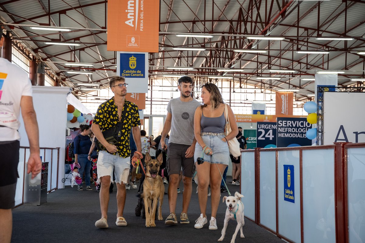 CanariasNotic's tweet image. #Animundo evidencia la concienciación de la ciudadanía con el #bienestaranimal
#GranCanaria #animales #mascotas 
@infecar @GranCanariaCab @AMoralesGC @minervaalonso81 
Ver más en Canarias Noticias 👉 canariasnoticias.es/2023/11/20/ani…