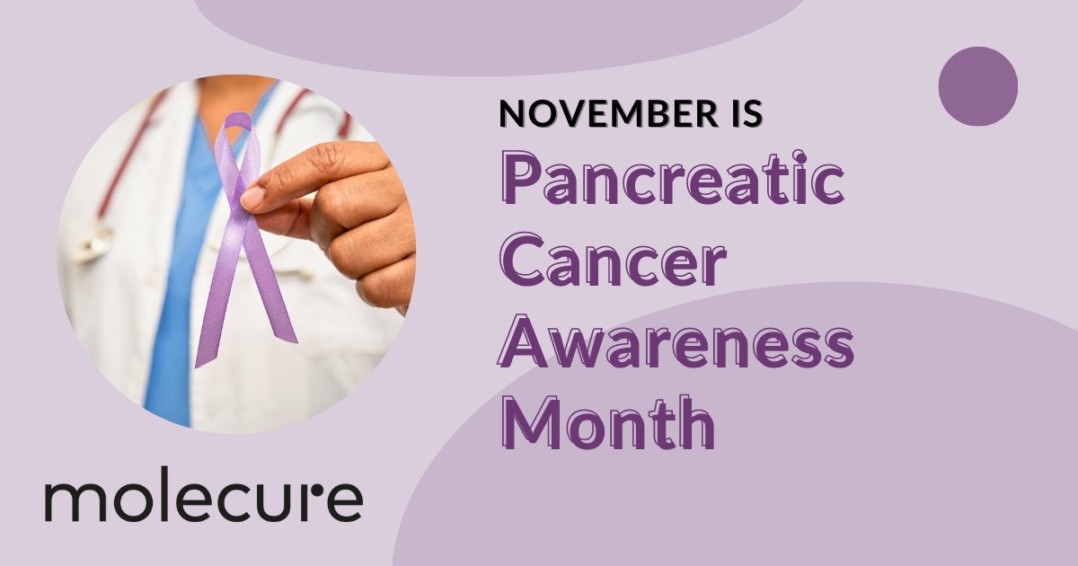 molecure_sa's tweet photo. This Pancreatic Cancer Awareness Month, let's join forces to spread awareness, support those affected, and continue advancing breakthroughs like #OATD02 that bring hope to the fight against cancer. 🌍💜 https://t.co/bsw3pxFgRX
