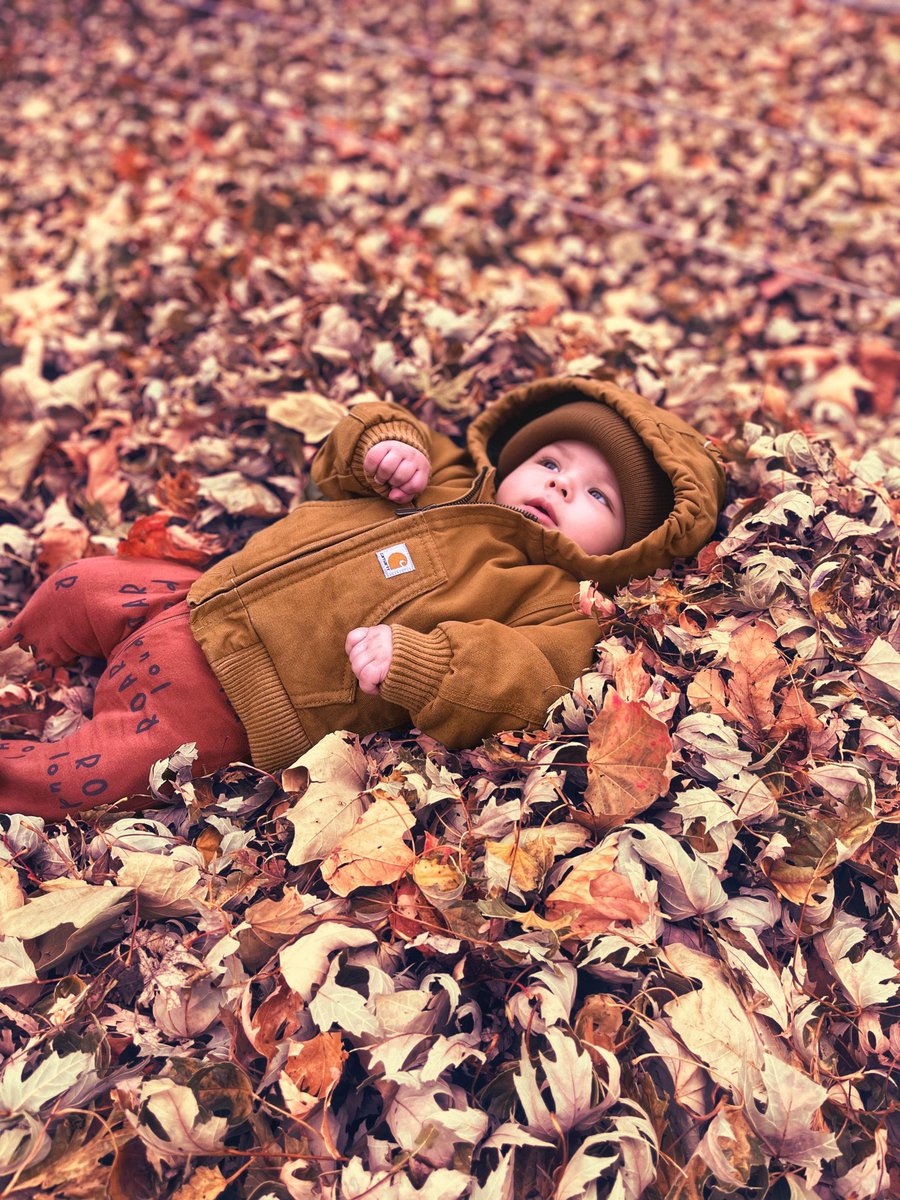 kingxpanda's tweet image. 🍂🍁👶🏽❤️