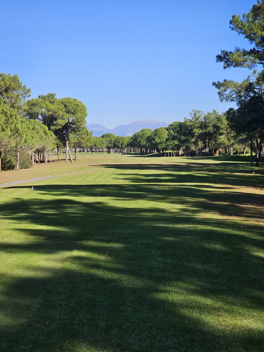 Stephen Berry tweet media