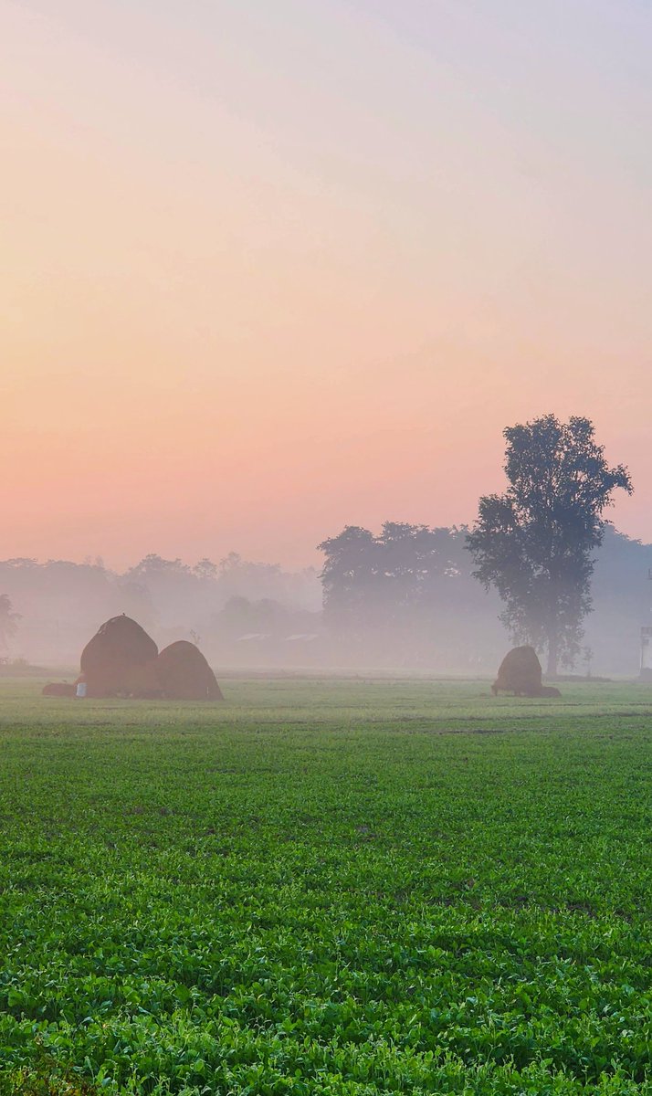 kingpaudel's tweet photo. Cant wait for the mustard crops to bloom in these agriculture fields at Chitwan. #chitwan https://t.co/JujV3hC2oV