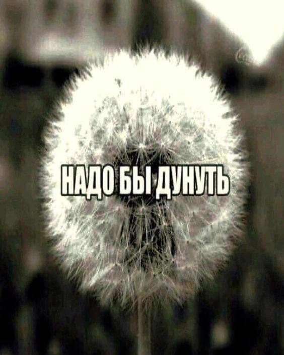 вы не поверите что я написала

archiveofourown.org/works/51719476