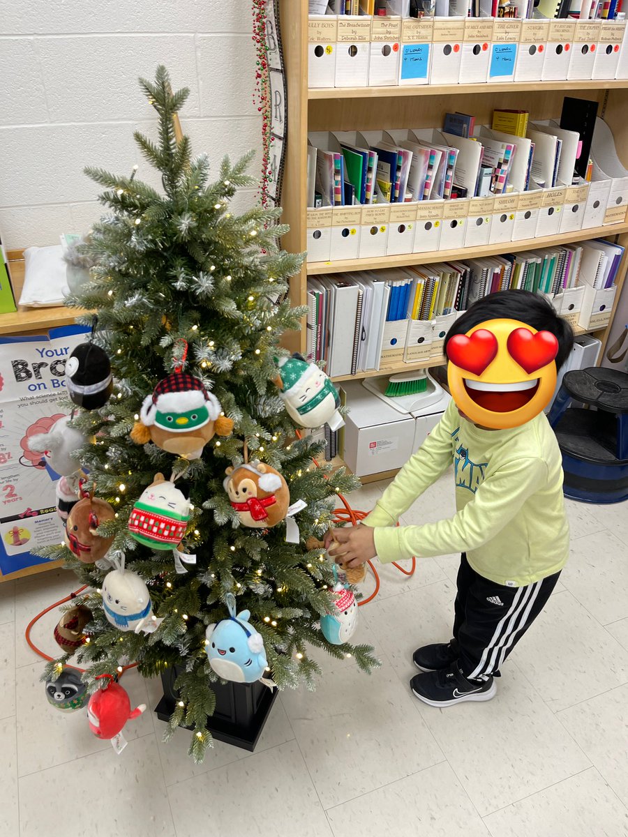 MsPecson's tweet photo. My friend really enjoyed decorating our Christmas tree in the library! 🎄💚❤️ https://t.co/SI8kpC06aQ
