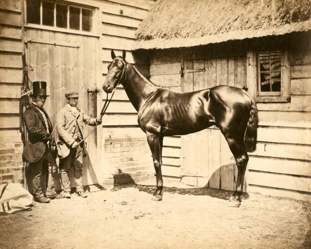 HORSERACING1002's tweet photo. BEADSMAN🇬🇧1855
(WEATHERBIT - MENDICANT BY TOUCHSTONE)
#Beadsman
B/O Sir Joseph Hawley🇬🇧1855
T/ George Manning
7-5-0-2
Newmarket S, Epsom Derby, Triennial S,
3rd Ham S, 
Stood in 🇬🇧 Sired Blue Gown, Pero Gomez, Mulberry, Poldoody, The Palmer.
Died July 5, 1872 https://t.co/GhkuOz2Zb1