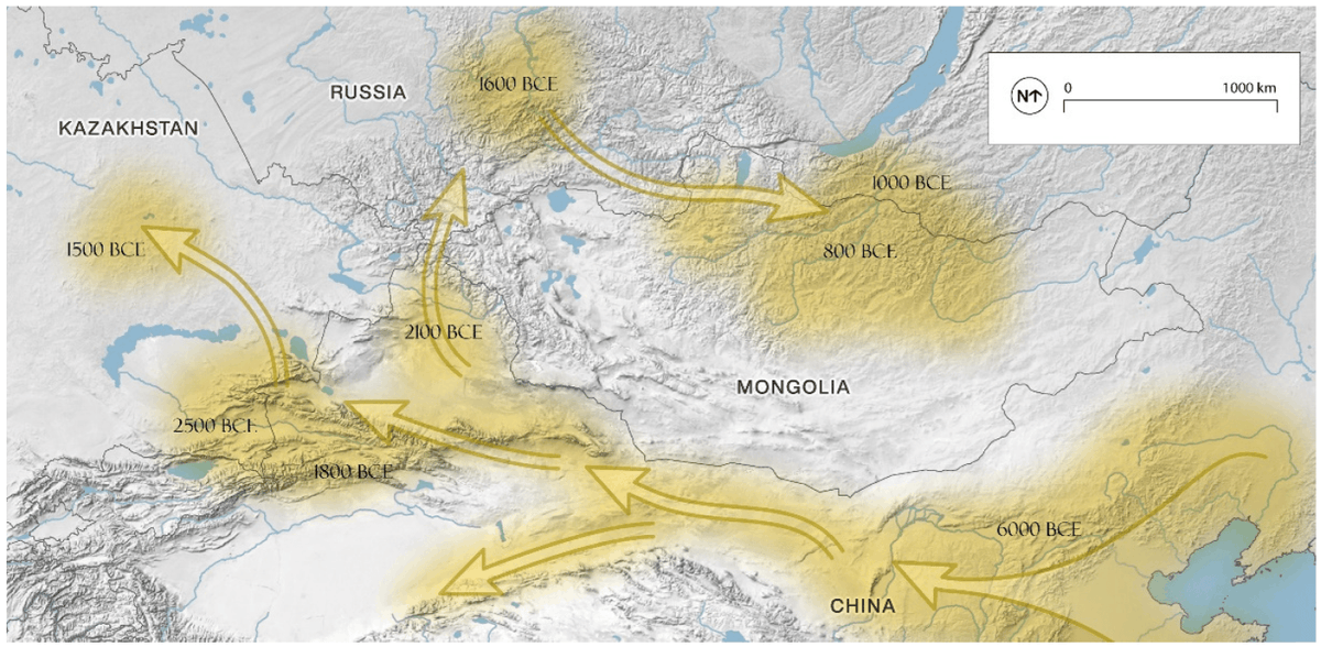 steppebioarch's tweet photo. Our paper on ancient cultivation in north-central Asia is now out! Thanks to all of the colleagues who worked on this paper - especially Patrick @palaeotropics and the @MPI_GEA (MPI-SHH) crew.

https://t.co/WHsGyH1jpo https://t.co/rlRbb0CQAL