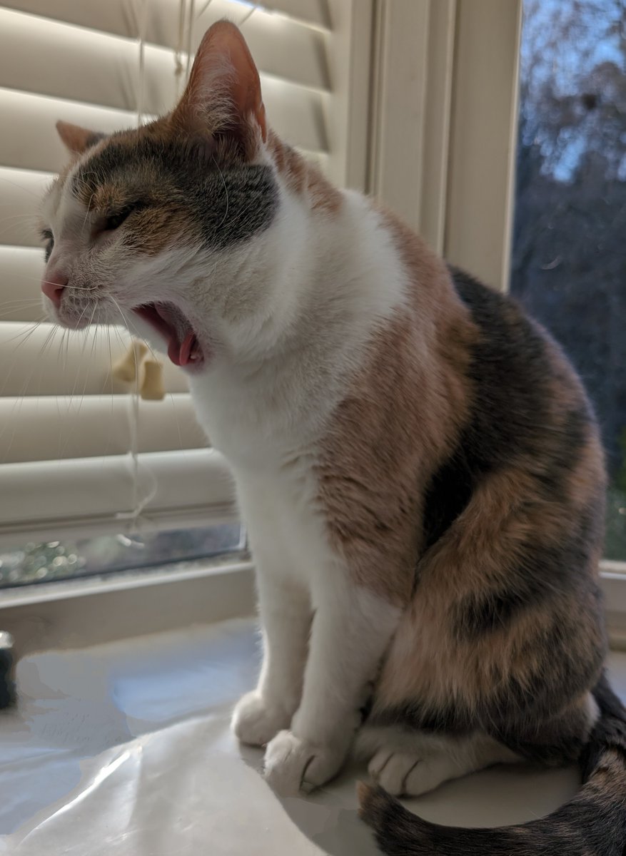 Pennycat333's tweet image. 🎶Yu shot yur moth
how can you say
I go about things tha wrong way
I am (((skittles bag)) and i need to be loooooooooooooved
jost like every bundt else does🎶