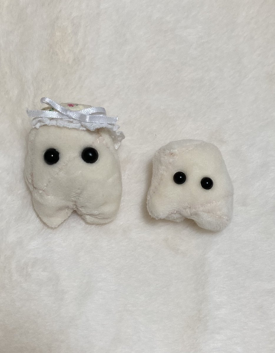 ついに歯の妖精2匹目産まれました！ 歯の妖精よりもっと小さいプリケツ