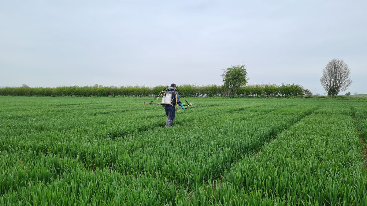 ADAS Rosemaund tweet media