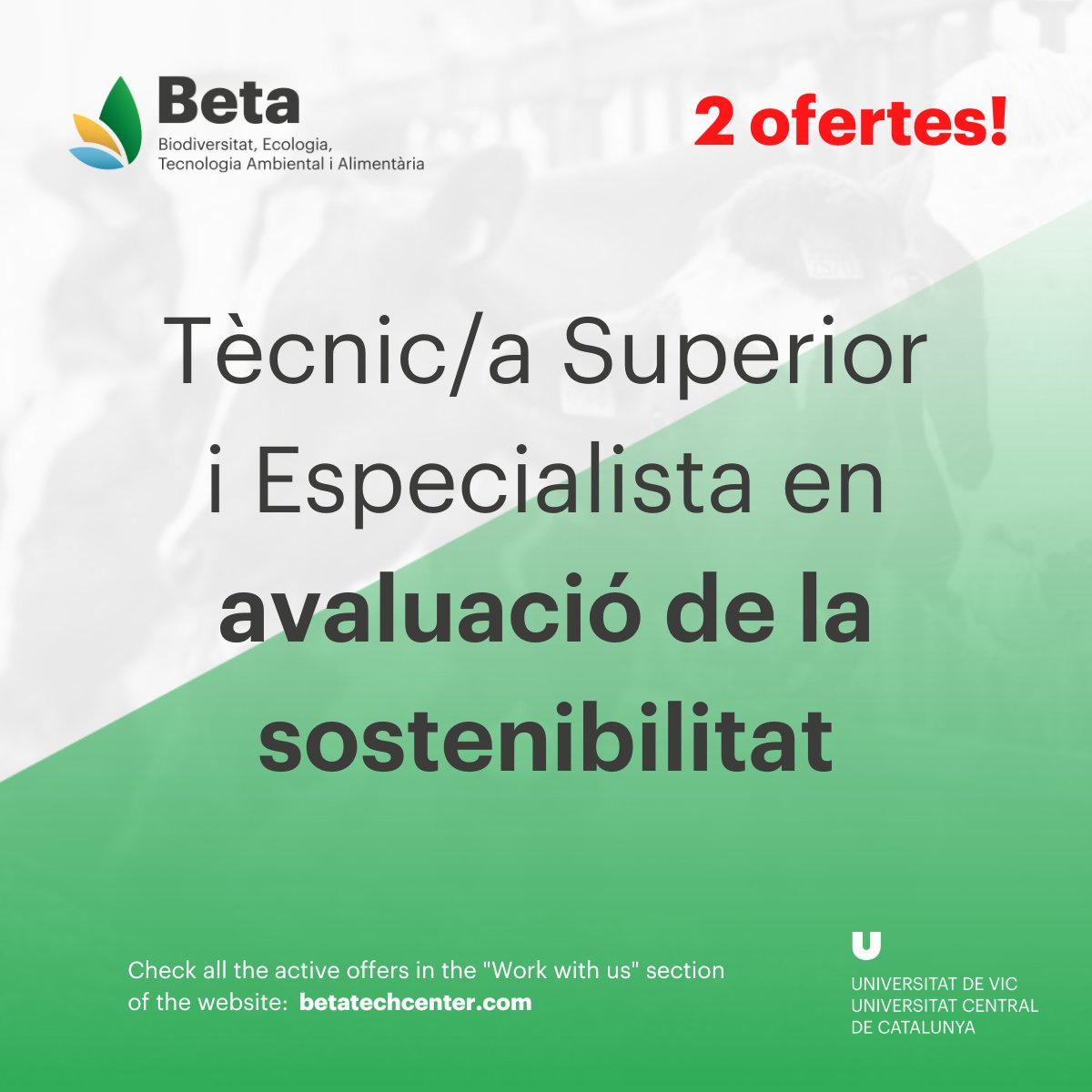 BETA_TechCentre's tweet photo. 📣 Vols avaluar la #sostenibilitat de tecnologies i processos desenvolupats en projectes europeus o directament amb empreses?

▶️ Tenim dues oportunitats: estem buscant un/a Especialista i un/a Tècnic/a Superior en aquest àmbit.

Més informació:
https://t.co/nmOeMrkYOl https://t.co/cpr0yF8kdj