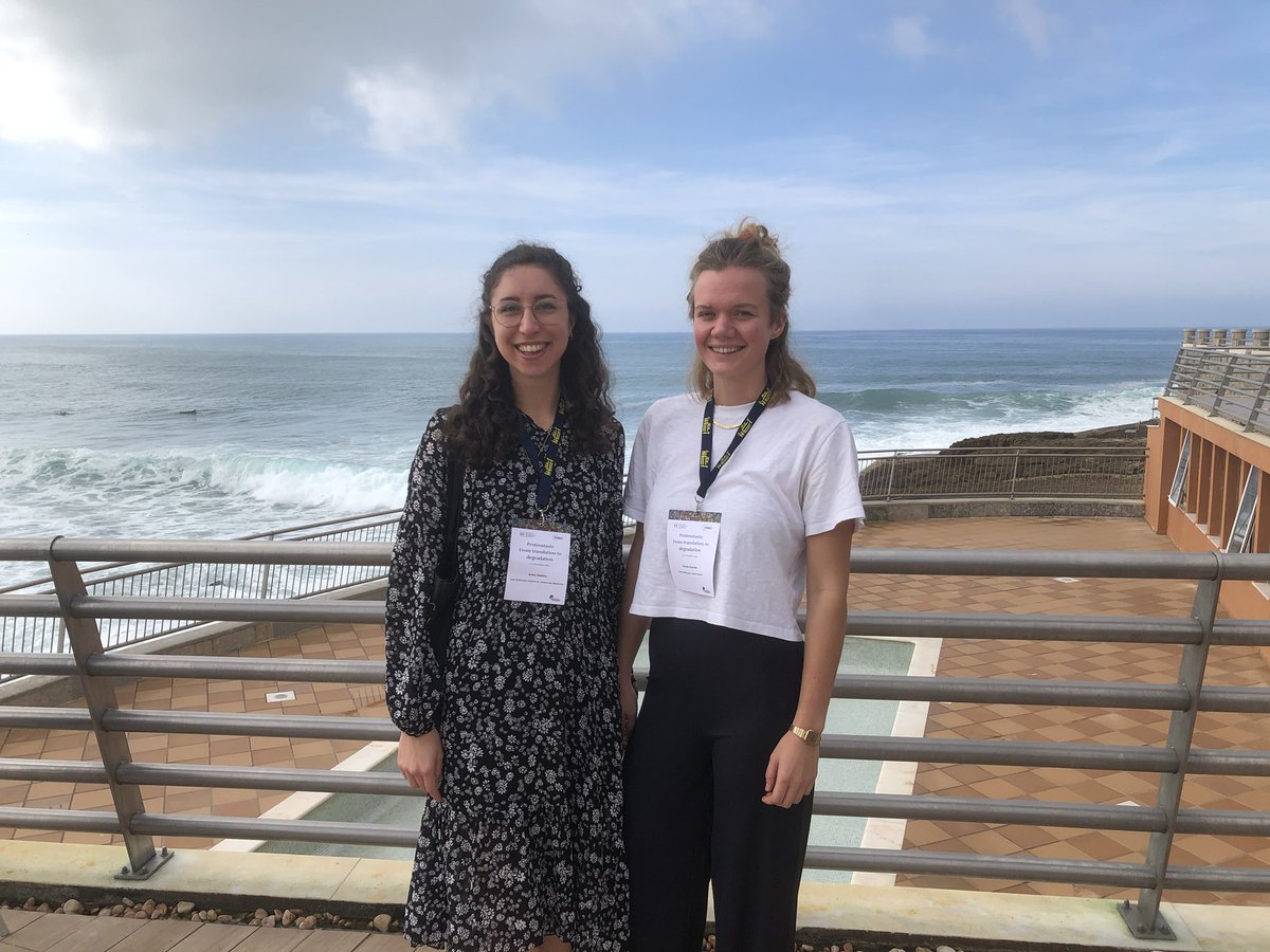 What conference dreams are made of 😍 #emboproteostasis <a href="/EMBO/">EMBO</a>
