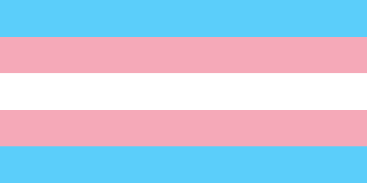 nysovs's tweet photo. On #TransgenderDayOfRemembrance, we remember those who have died and recognize the victim assistance professionals who work for OVS-funded programs  and ensure LGBTQ+ individuals have access to support and services wherever and whenever they need it. https://t.co/LSl3euo8ng https://t.co/Po93e4R5JW