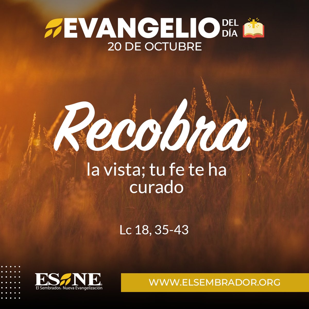 #EvangelioDeHoy 📖 A Aquel que todo lo puede, le pide todo. (…) “Ten compasión de mí, ten compasión de todo lo que soy'. ➡️ elsembradorministries.com/esne/evangelio/