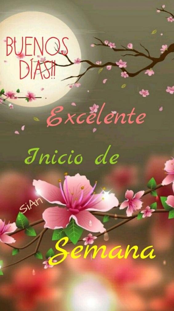 Lupe Monroy (@lupemonroy6) on Twitter photo 