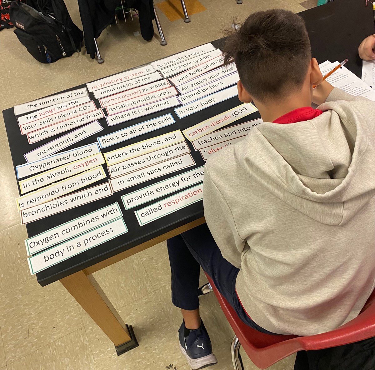 NEISD Bilingual/ESL tweet media