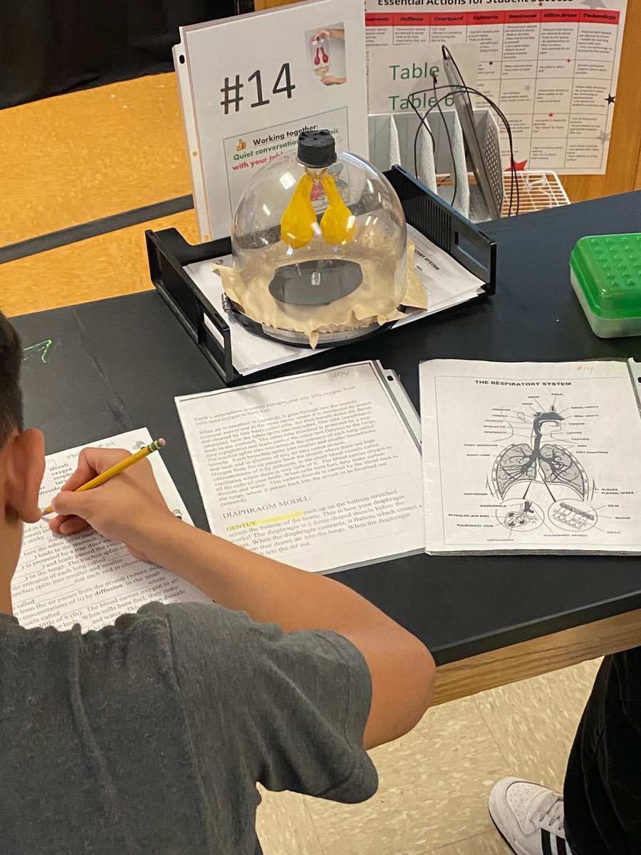 NEISD Bilingual/ESL tweet media