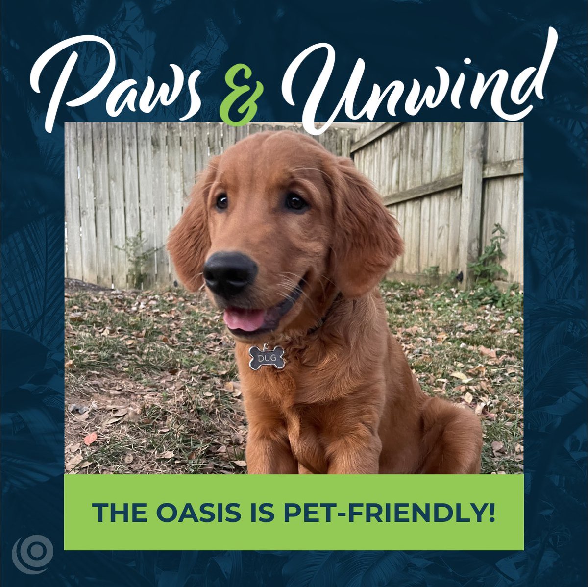 Because your fur babies deserve a vacation too. 🐶

 #OasisPets #PetFriendlyHotel #UnleashTheFun