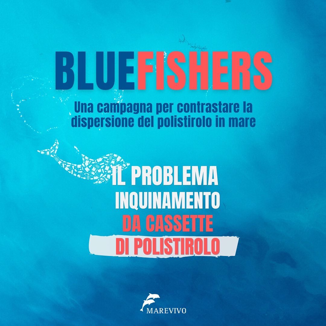 MarevivoETS's tweet photo. Abbiamo lanciato a Viareggio la nuova campagna nazionale #BlueFishers contro l’inquinamento marino da polistirolo, coinvolgendo i pescatori della piccola pesca artigianale nell’utilizzo delle vaschette riutilizzabili e riciclabili 🎣♻️
Per saperne di più https://t.co/HYgPe84uJs https://t.co/J6827oMTRZ