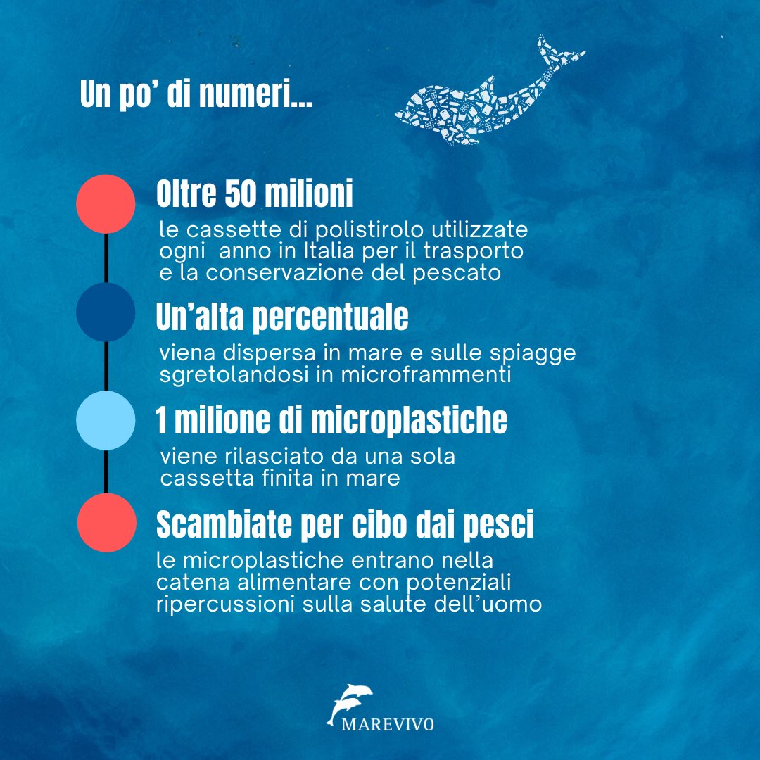 MarevivoETS's tweet photo. Abbiamo lanciato a Viareggio la nuova campagna nazionale #BlueFishers contro l’inquinamento marino da polistirolo, coinvolgendo i pescatori della piccola pesca artigianale nell’utilizzo delle vaschette riutilizzabili e riciclabili 🎣♻️
Per saperne di più https://t.co/HYgPe84uJs https://t.co/J6827oMTRZ