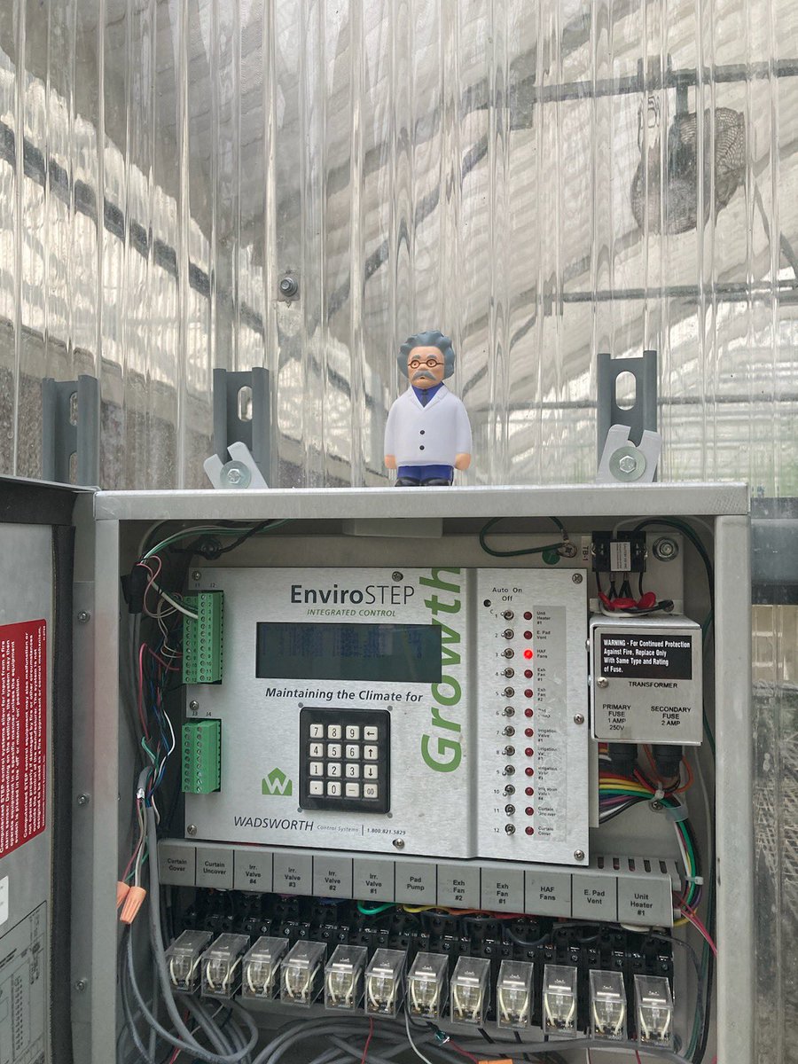 BrantEleanor's tweet photo. Today Einstein is on an adventure, finally making his way out of the lab! https://t.co/I7tleUGREa