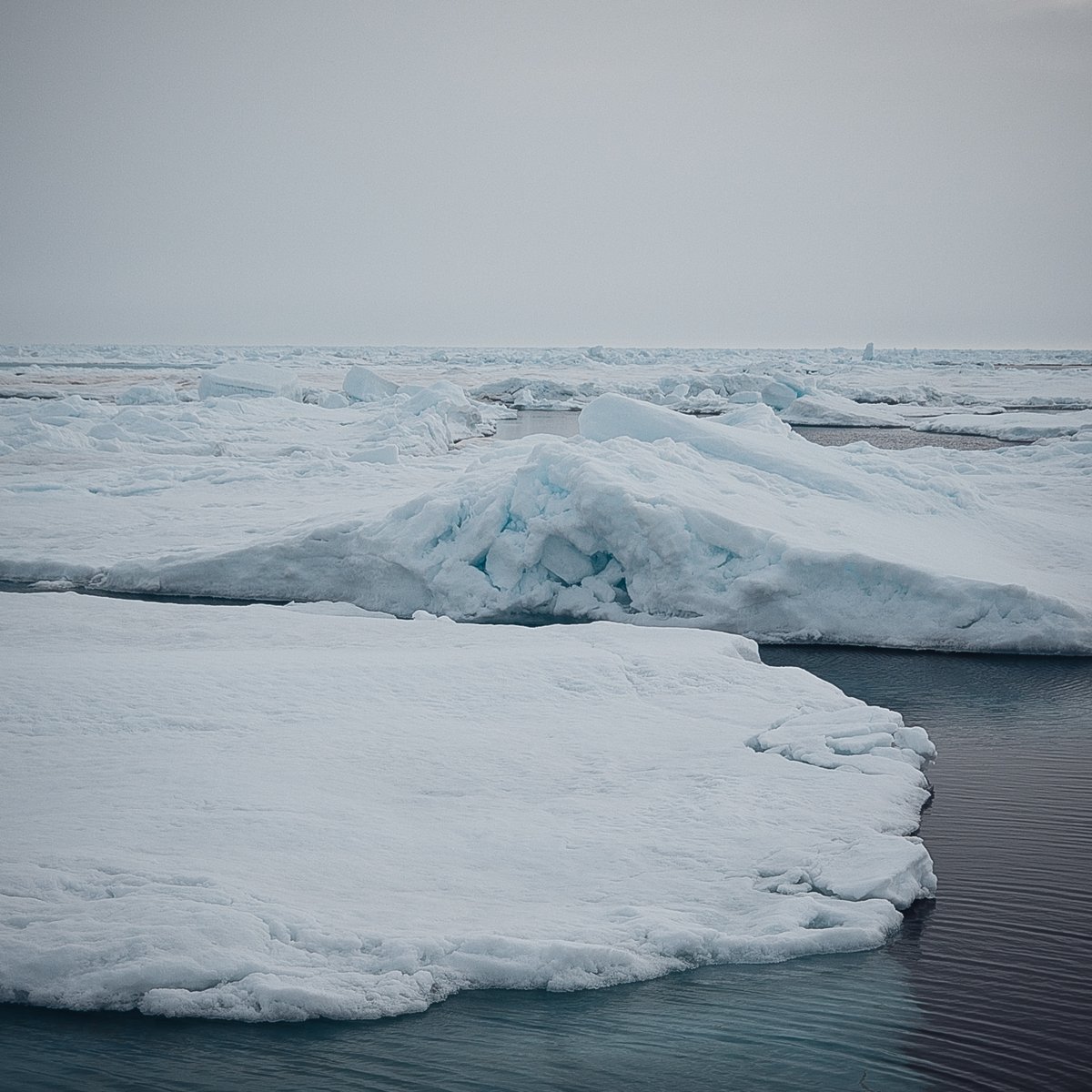 OceanSeaIceNPI's tweet photo. Ridges, walls of broken ice, cover up to 40–50 % of the #Arctic sea-ice area. Our new @MOSAiCArctic study in @EGU_TC, uses underwater sonar surveys to show that bottom melt rates of ridges are ~4 times higher than for level ice. @forskningsradet #HAVOC  https://t.co/RCtQVf37wc https://t.co/zaqFyW84u2
