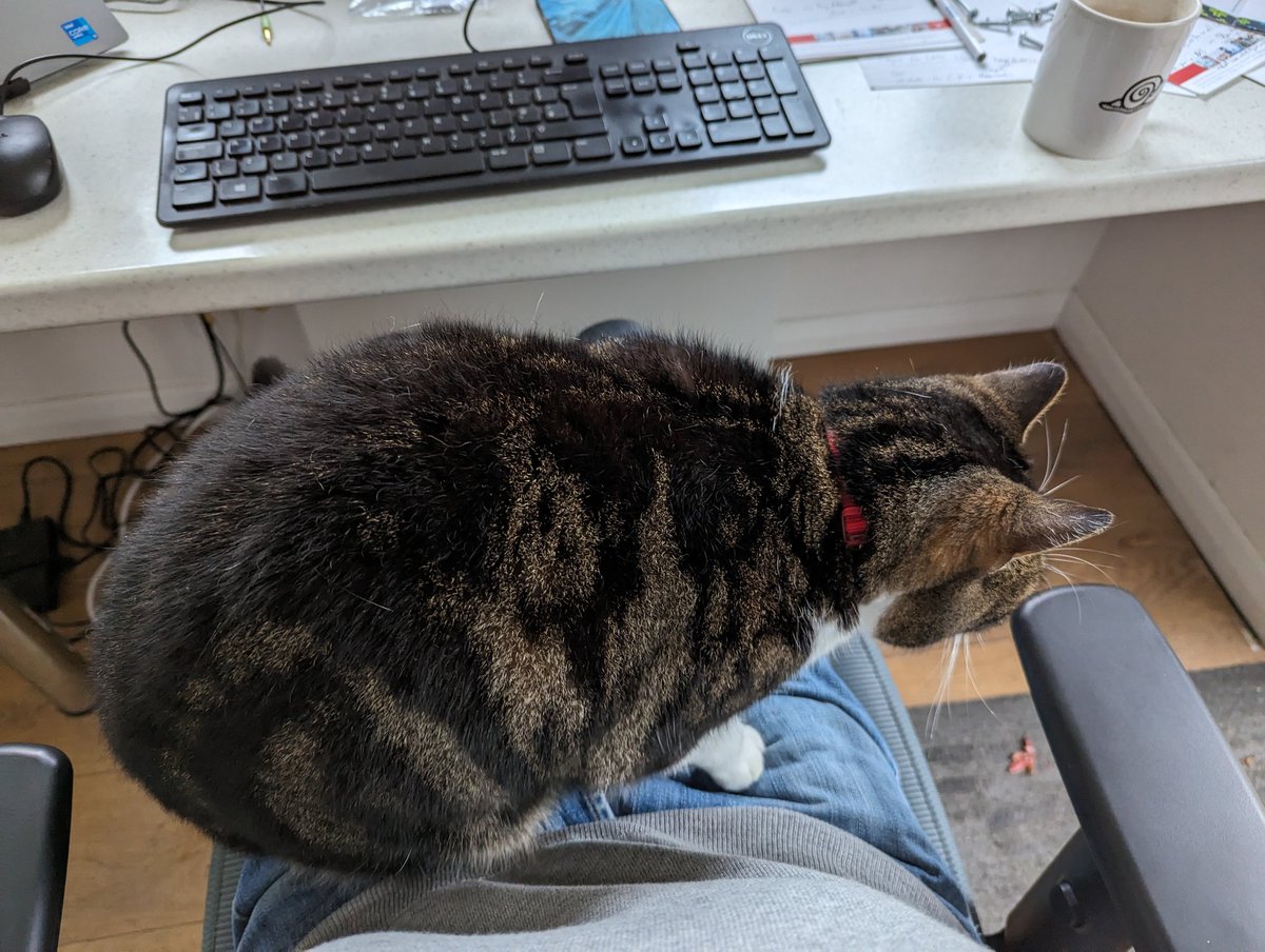 Alan Fricker 💙 tweet media