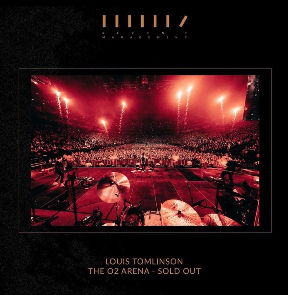 gail_lwt28's tweet photo. I wish I could of experienced this through his eyes and listened to his thoughts πππ @Louis_Tomlinson I know you shared with us, but I would luv to know more on what you were thinking walking out to see all of us cheering for you π«Άπ»#FaithInTheFutureLondon #LouisSoldOutTheO2 https://t.co/F83opEfoB6
