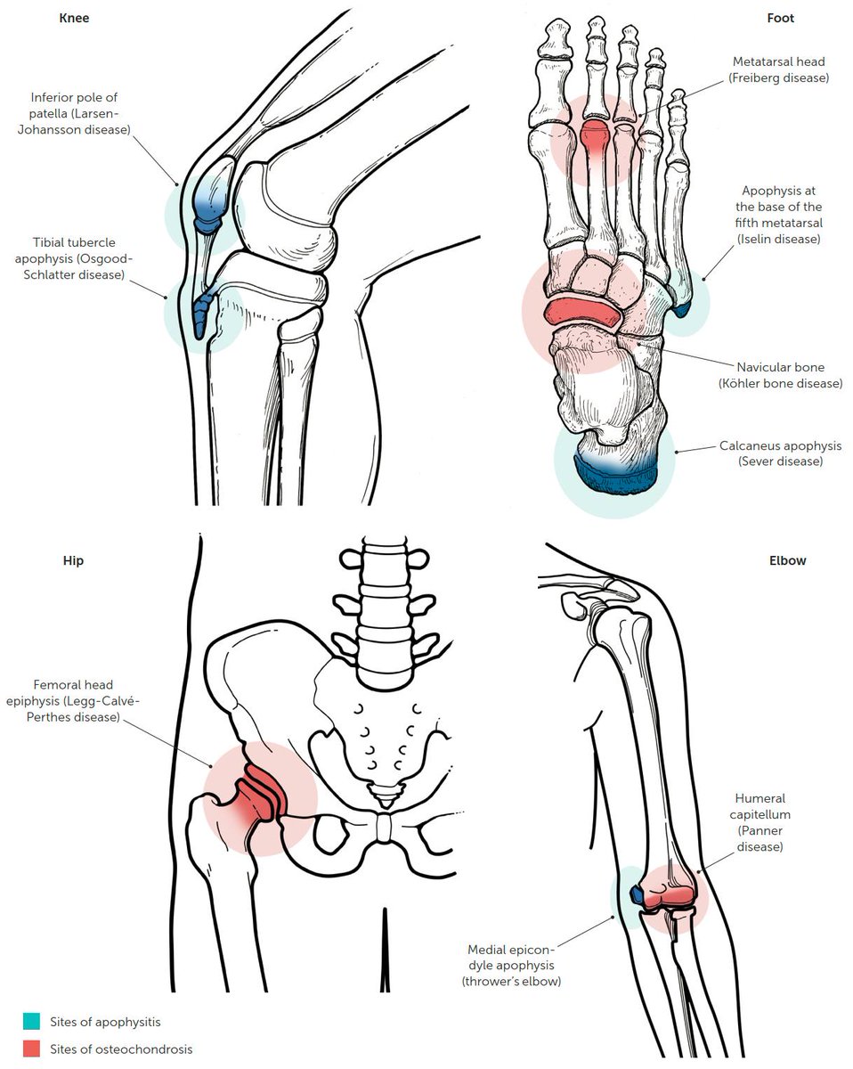 Physio Meets Science tweet media