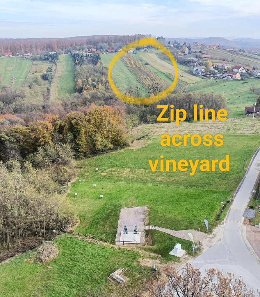 It's the first time I've seen this - a zipline across a #vineyard. 
I spotted it on the outskirts of #Lendava, a small town in northeast #Slovenia, near the borders with Hungary and Croatia.
#vineyardlife #slovenianwine #iloveslovenia #ziplining  #wineandtravel #winetourism
