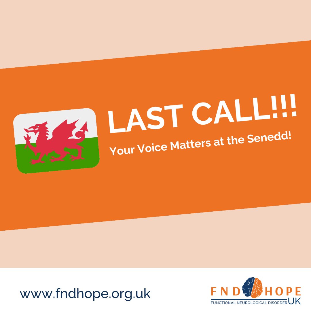 This is your last chance to join us in raising awareness about FND among government officials, creating the opportunity for positive change. To access the pre-written letter and add your voice to ours, simply follow this link:

👉bit.ly/3PBv5ci  👈

#FND #myFND