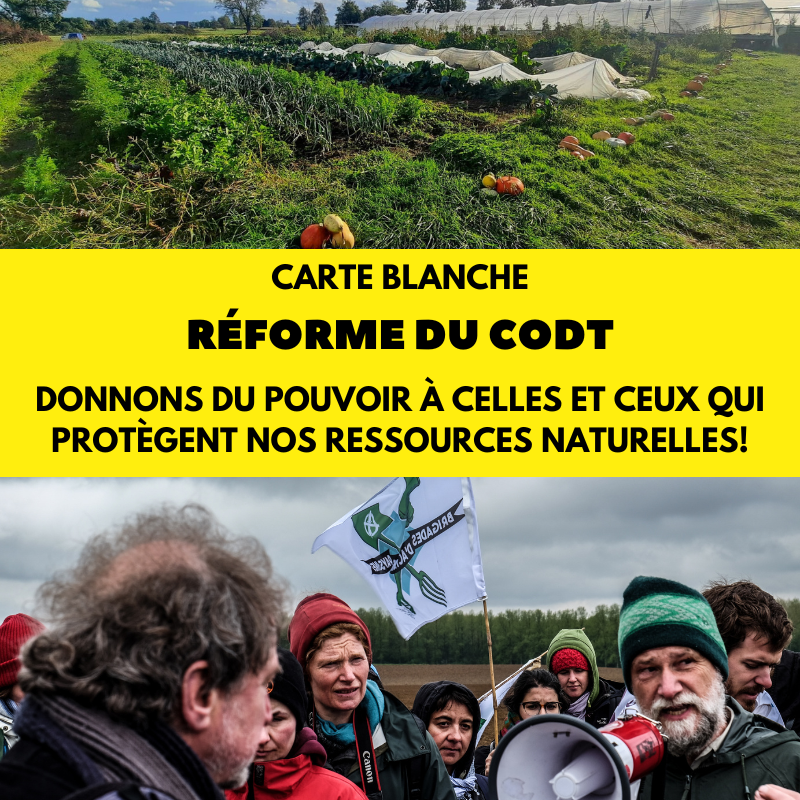 FIANbelgium's tweet photo. Actuellement le #CoDT limite les révisions du plan de secteur aux demandes d'#urbanisation, négligeant la préservation des terres nourricières.
Il y a urgence à repenser l'équilibre entre développement économique et préservation des biens communs! #EnvironnementWallon https://t.co/vj1rHc8Jf0