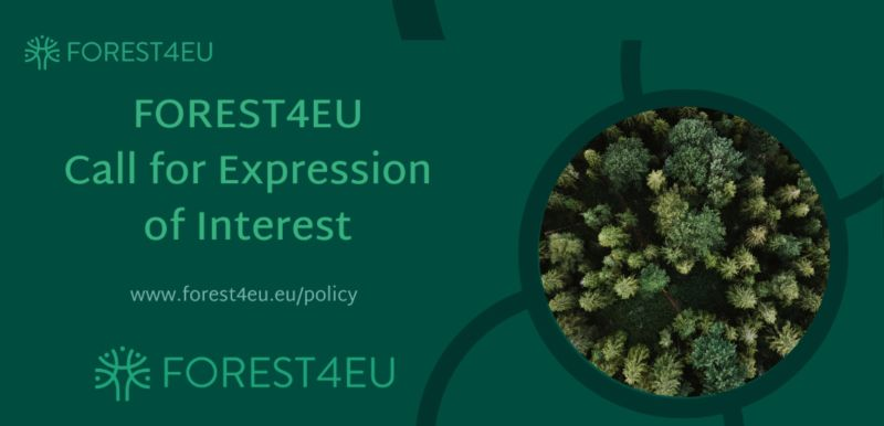 🌳FOREST4EU is looking for experts to join 3 Policy Focus Group aimed at improving the conditions for #forestry & #agroforestry innovations in Europe! 🗓️ Apply by 15 December 📷 Read more about #FOREST4EU Policy Focus Groups tinyurl.com/yc4cr7zd @REA_research @DagriUnifi