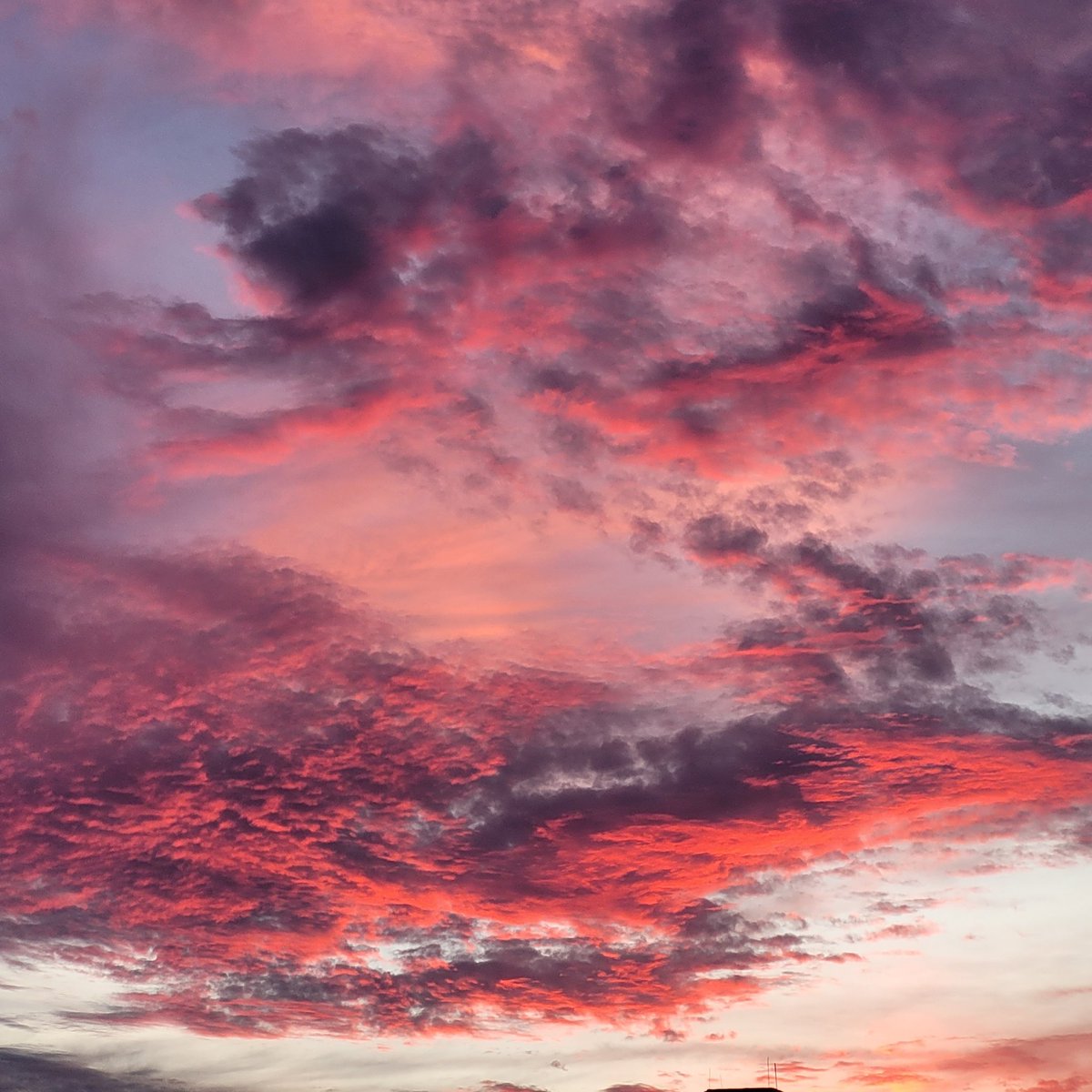 SpeakForBharat's tweet photo. मेरा आसमा 😍😍
#SunsetClick #Real https://t.co/LNj3NBqWRa