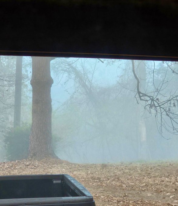 An old friend's cabin, on this foggy morning. Pretty isn't it?  It's been many years since I've lived<a href="/tag/nikkinova"class="tags"><span>#nikkinova</span></a>