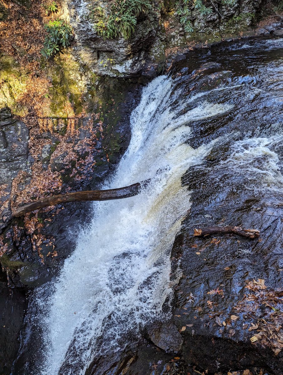 ThomasTaylorJ13's tweet photo. Visited Bushkill falls in Pennsylvania recently. pics don't do it justice! If you want to walk the whole thing don't skip leg day!#waterfalls #bushkill #NatureBeauty https://t.co/lqAuVarhzR