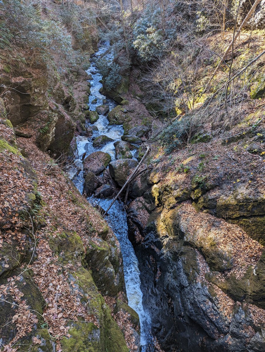 ThomasTaylorJ13's tweet photo. Visited Bushkill falls in Pennsylvania recently. pics don't do it justice! If you want to walk the whole thing don't skip leg day!#waterfalls #bushkill #NatureBeauty https://t.co/lqAuVarhzR