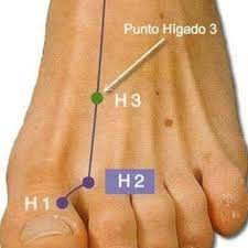 ¿Dónde aparecen las moscas?
Donde hay excremento, basura.
¿Por qué aparecen los hongos en las uñas?
Por un Hígado tóxico que padece hepatomegalia o esteatosis.
De acuerdo a la MTCH las uñas están gobernadas por el Hígado: Miren donde comienza el meridiano del Hígado H1: En la