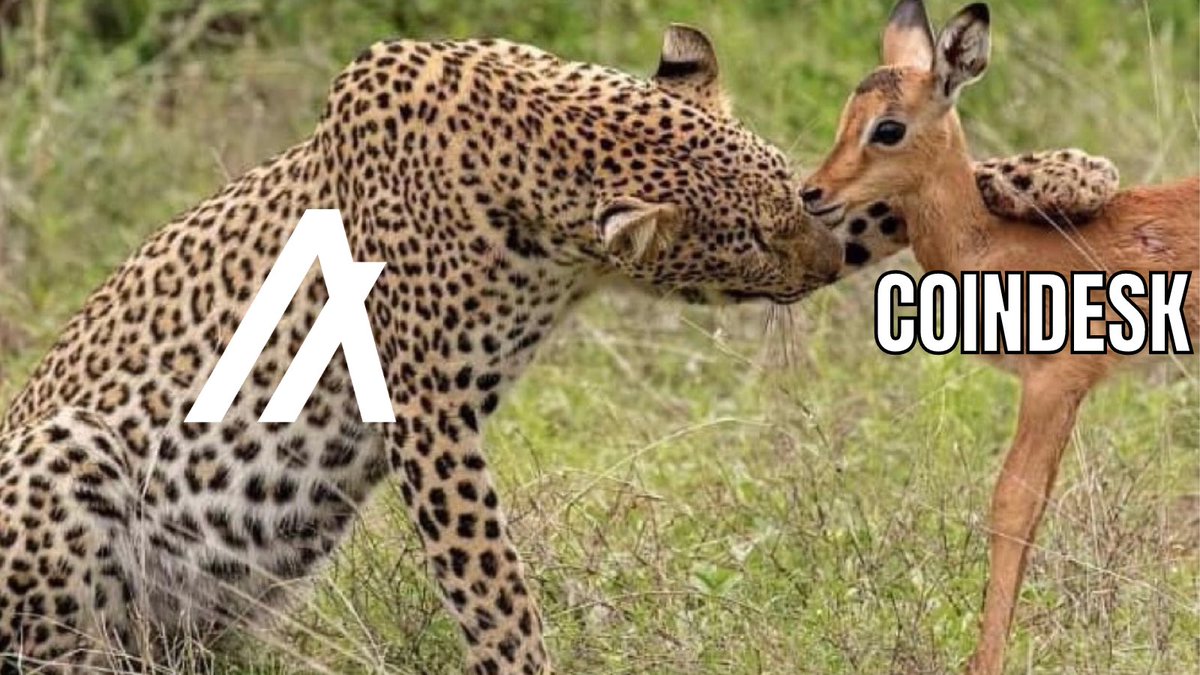 Algorand done being ignored and buying all the ads on Coindesk to display its incredible stats right in everybody’s face. $Algo