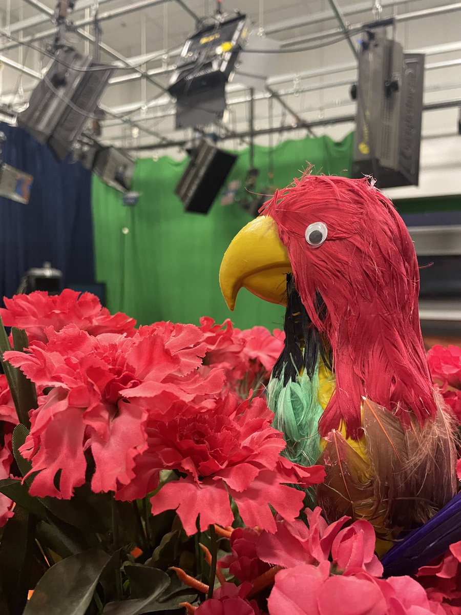 ztvlowdown's tweet photo. Our lovely mascot, Beacon, is getting the studio ready for @messmakerrocks on Saturday!!

#ztvakron #ztvlowdown https://t.co/V7RJRjAZqm