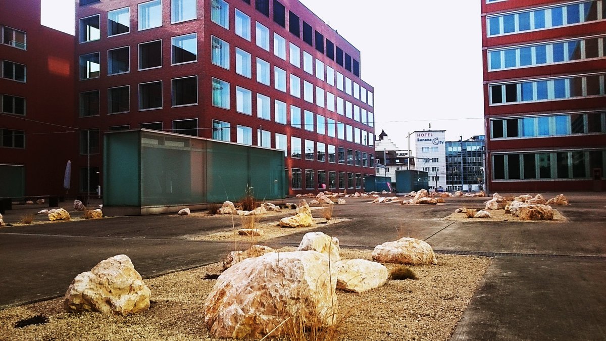 Gianni Skaragas tweet media